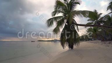 美丽的日出在热带海滩与椰子棕榈树。 多米尼加共和国蓬塔卡纳度假村